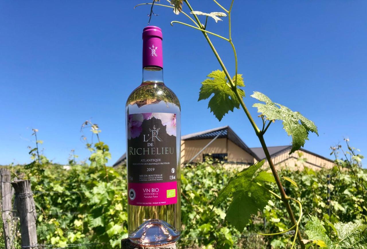 Chateau Richelieu 3* Fronsac (Gironde)