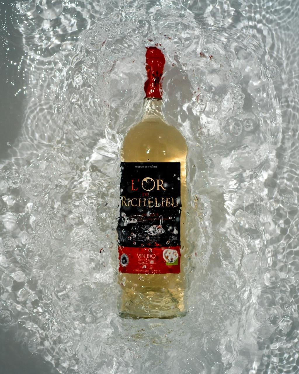 Chateau Richelieu Fronsac (Gironde)